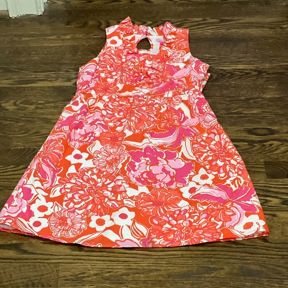 Lily Pulitzer Beautiful Floral Dress - Picture 8 of 10